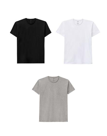 Imagem de KIT 3 Camisetas Básicas Masculina Malwee 100% Algodão