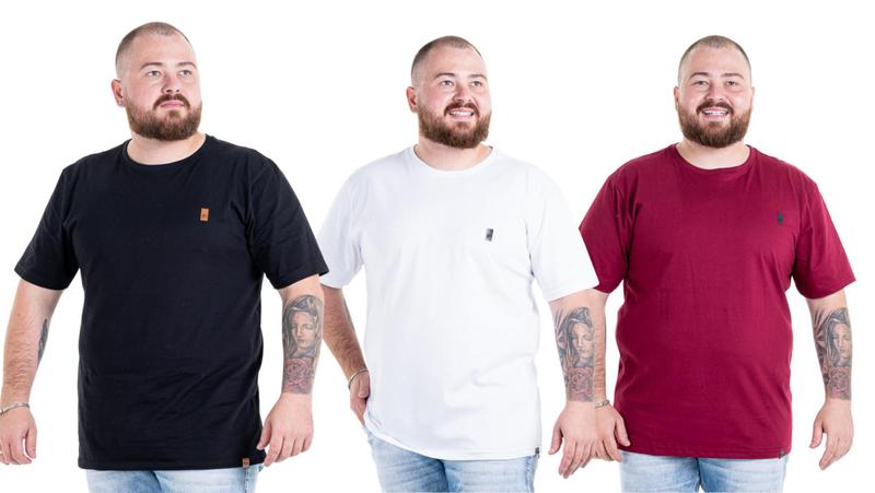 Imagem de Kit 3 Camisetas Camisas Blusas Plus Size G1 G2 G3 Flero