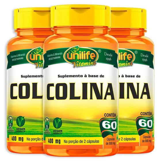 Imagem de Kit 3 Colina vitamina B8 Unilife 60 cápsulas