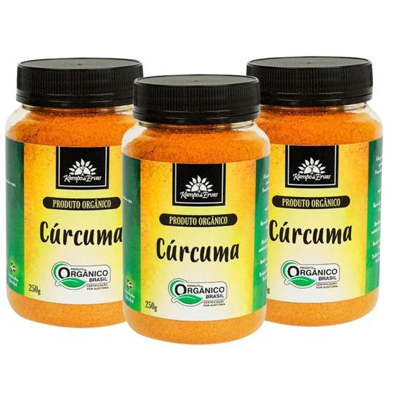 Imagem de Kit 3 Cúrcuma Orgânica Cúrcuma Longa 250gr cada Kampo De Ervas