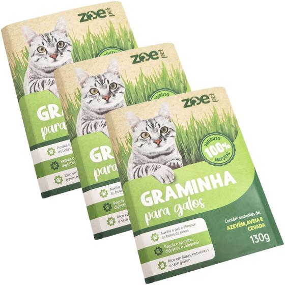 Imagem de Kit 3 Graminhas Grama Para Gatos Comestível Auxilia na Digestão e Eliminação De Pelos Zoe Pet