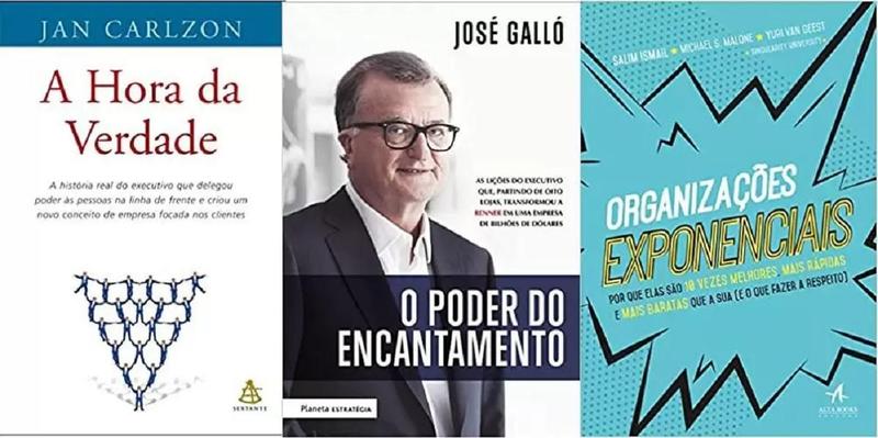 KIT 3 LIVROS A hora da verdade + O Poder do Encantamento + Organizações Exponenciais Imagem de KIT 3 LIVROS A hora da verdade + O Poder do Encantamento + Organizações Exponenciais