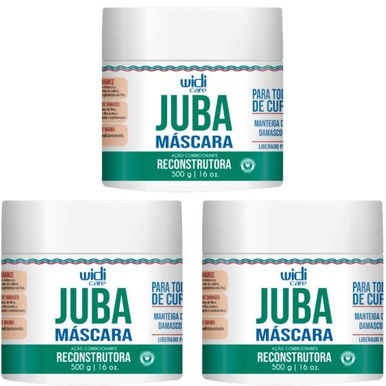 Imagem de Kit 3 Mascara Reconstrutora Capilar Juba Widi Care Todas Curvaturas Vegano Ação Condicionante 500g