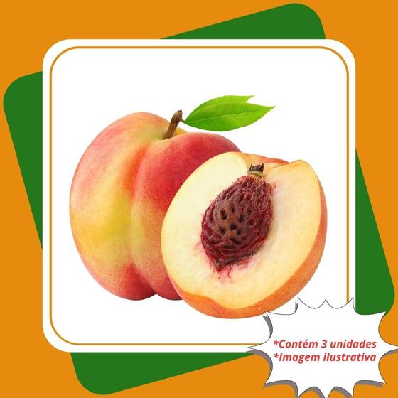 Imagem de Kit 3 Mudas de Pêssego Premier Enxertada  Prunus Persica L. Batsch.