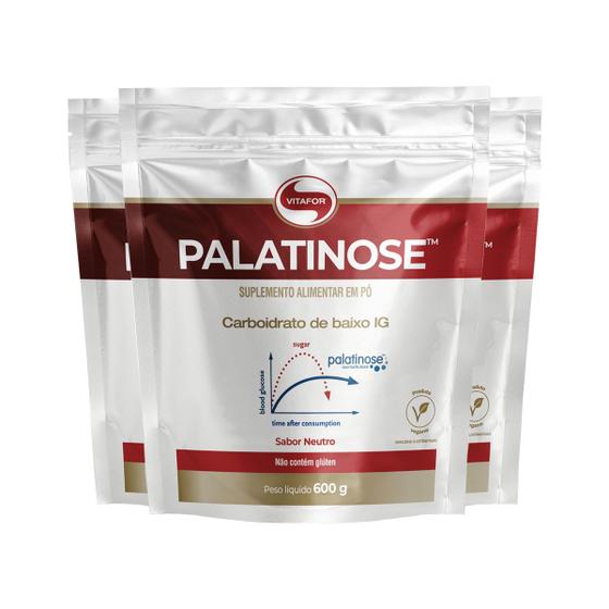 Imagem de Kit 3 Palatinose Vegano Vitafor 600g Neutro