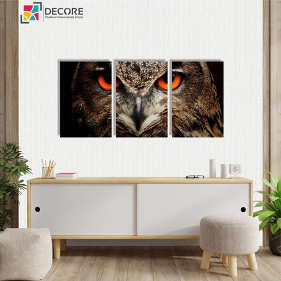 Imagem de Kit 3 Peças 40x60 Quadros Decorativos Animais Coruja Aves