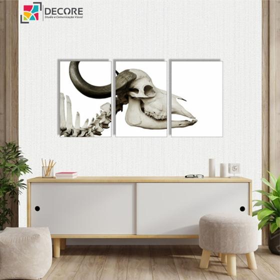 Imagem de Kit 3 Peças Quadros Decorativos Caveira Branco