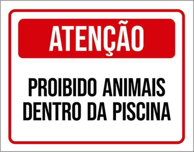 Imagem de Kit 3 Placas Atenção Proibido Animais Dentro Da Piscina