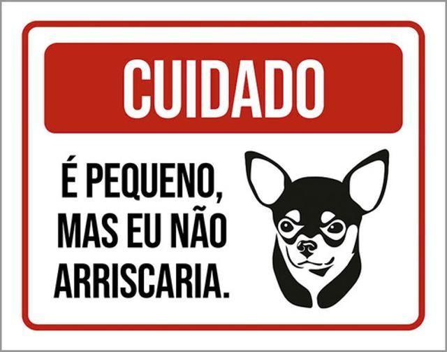 Imagem de Kit 3 Placas Cuidado Cão Pequeno Mas Eu Não Arriscaria 36X46