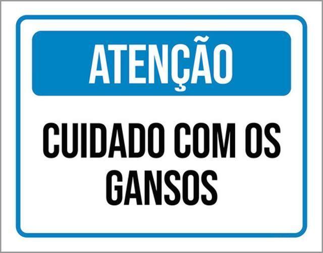 Imagem de Kit 3 Placas De Atenção Cuidado Com Os Gansos 36X46