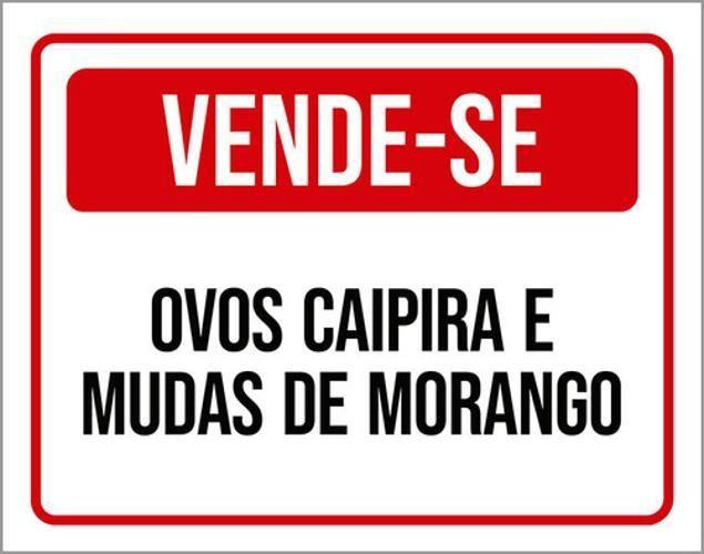 Imagem de Kit 3 Placas Sinalização Vende-Se Ovos Caipira Mudas Morango