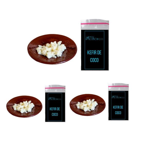 Imagem de Kit 3 Por 2 Kefir Probiótico Desidratado de Coco e Manual