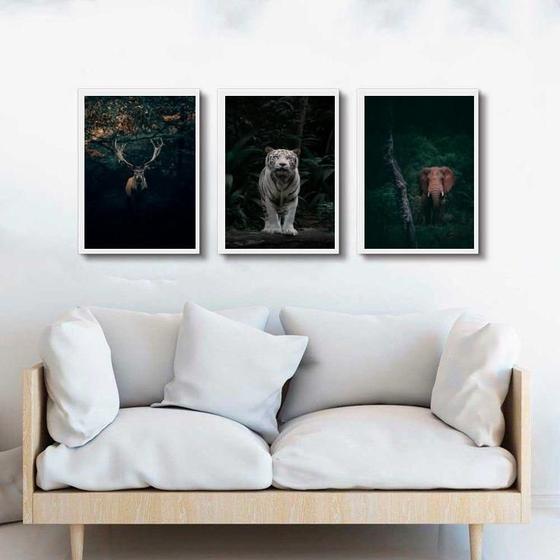 Imagem de Kit 3 Quadros Animais- Vida Selvagem 24X18Cm - Com Vidro