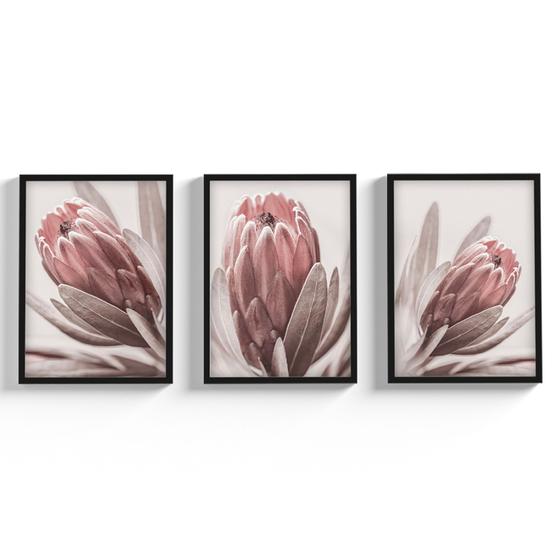 Imagem de Kit 3 Quadros Decorativos Com Moldura e Vidro Floral Para Sala Quarto Florais