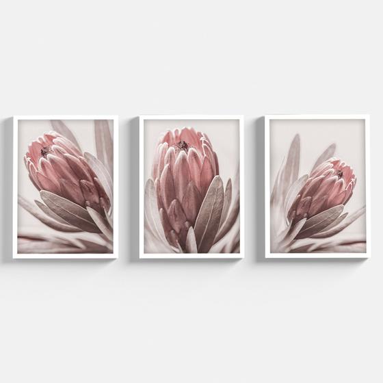 Imagem de Kit 3 Quadros Decorativos Com Moldura e Vidro Floral Para Sala Quarto Florais