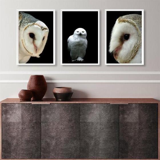 Imagem de Kit 3 Quadros Decorativos Fotografias Corujas Brancas