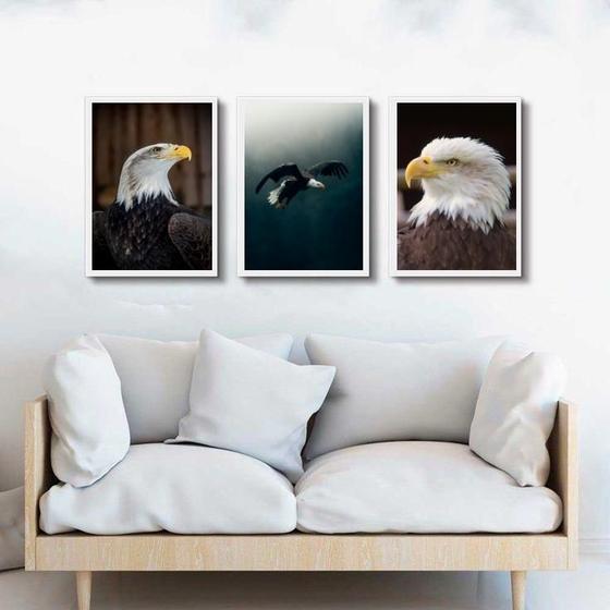 Imagem de Kit 3 Quadros Decorativos Fotos Águia 45X34Cm - Com Vidro