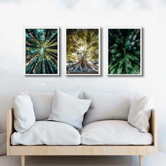 Imagem de Kit 3 Quadros Decorativos Natureza- Árvores 24X18Cm - Vidro