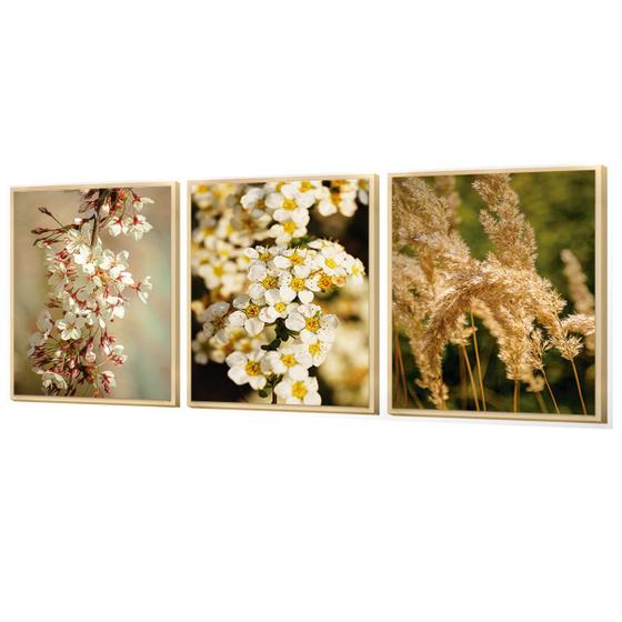 Imagem de Kit 3 Quadros Decorativos Plantas Jardim Capim dos Pampas