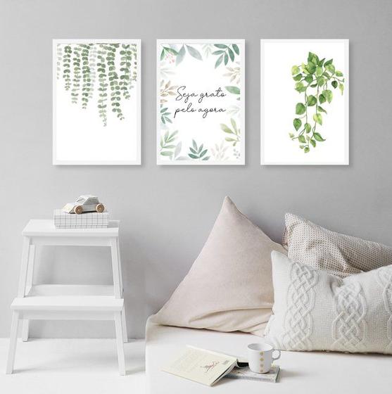 Imagem de Kit 3 Quadros Decorativos Seja Grato - Plantas 33x24cm - com vidro