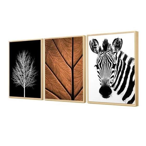 Imagem de Kit 3 Quadros Decorativos Zebra Árvore Seca 31x41cm