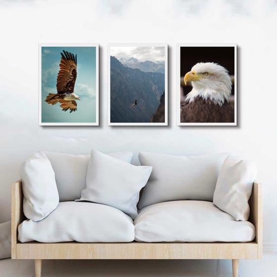 Imagem de Kit 3 Quadros Fotografias Águia 33x24cm - com vidro