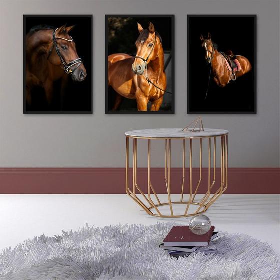 Imagem de Kit 3 Quadros Fotografias Cavalos 24x18cm - com vidro