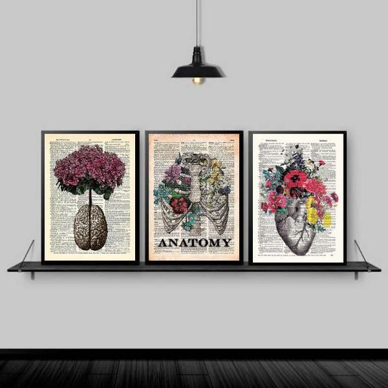 Imagem de Kit 3 Quadros Medicina Anatomia Flores 45x34cm - com vidro