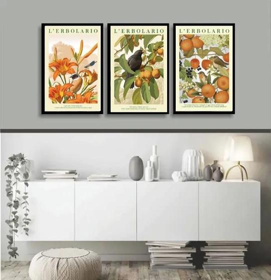 Imagem de Kit 3 Quadros Passarinhos Flores E Frutos Laranja 33X24Cm