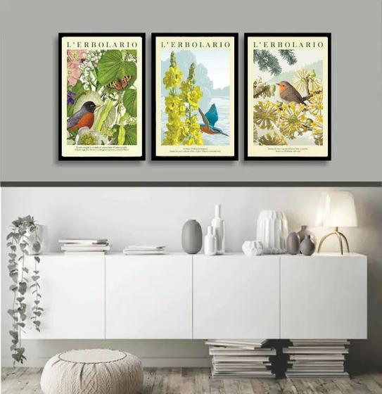 Imagem de Kit 3 Quadros Passarinhos Flores Espécies 33x24cm - com vidro