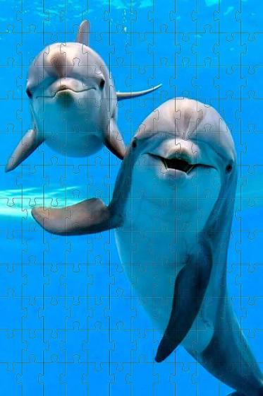 Imagem de Kit 3 Quebra-Cabeças Cognitivos Golfinhos Idosos 60 Peças