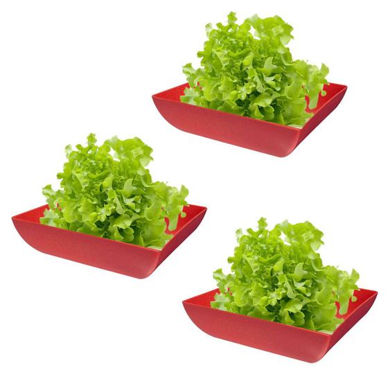 Imagem de Kit 3 Saladeiras c/ 2 tamanhos Petisqueira Vermelho