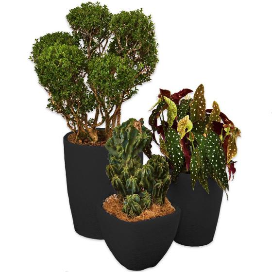 Imagem de Kit 3 Vaso Polietileno Variados Planta Decoração CD40