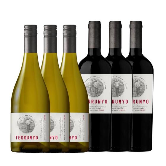 Imagem de Kit 3 Vinhos Chilenos Terrunyo Cabernet Sauvignon & 3 Terrunyo Sauvignon Blanc