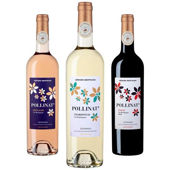 Imagem de Kit 3 Vinhos Pollinat Rosé Tinto e Chardonnay vinícola Gérard Bertrand Francês