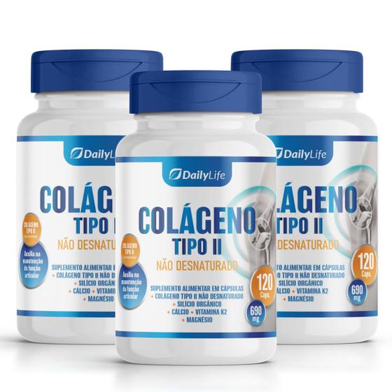 Imagem de Kit 3x Colágeno Tipo 2 Não Desnaturado com Vitamina K2, Cálcio, Magnésio - 120 Cápsulas - Suplemento Alimentar Sem Glúten