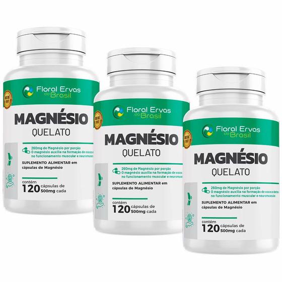 Imagem de Kit 3x Magnésio Quelato - (120 Capsulas cada) - Floral Ervas do Brasil