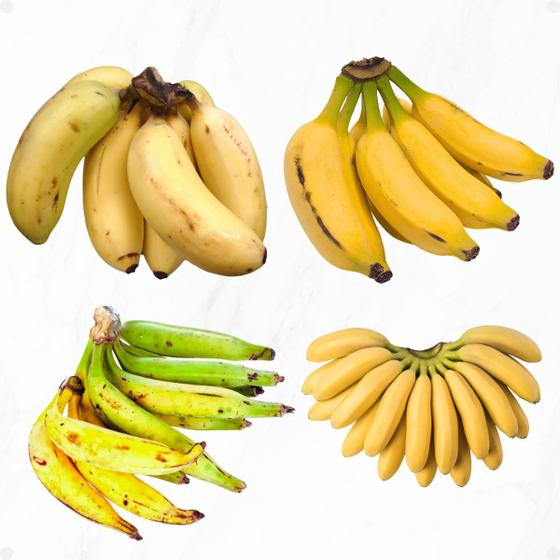 Imagem de Kit 4 Mudas De Banana Prata Terra Ouro E Maça Envio Imediato Pronta entrega
