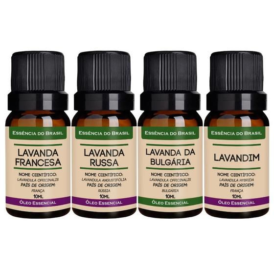 Imagem de Kit 4 Óleos Essenciais de Lavanda 10ml - Puros e Naturais