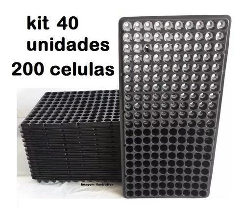 Imagem de Kit 40 Bandeja Sementeira Para Produção De Mudas 200 Células - nutriplan