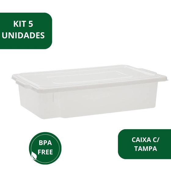 Imagem de Kit 5 Caixa Frigorifica Com Tampa Multiuso Pro 15l