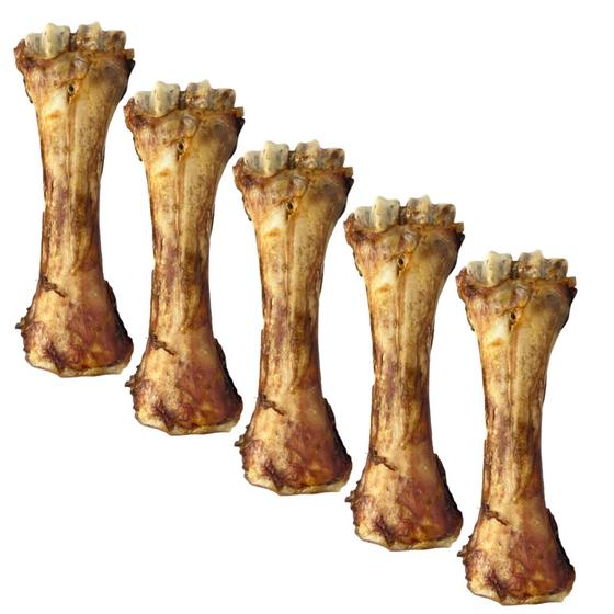 Imagem de Kit 5 petisco para cachorro caes Osso mordedor Pet resistente Canela Bovina 100 natural