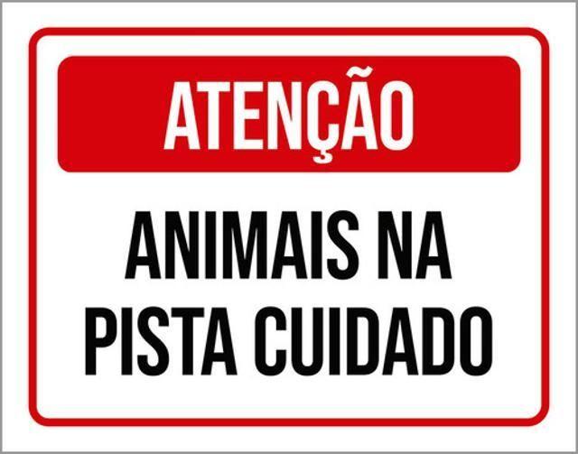 Imagem de Kit 5 Placas Sinalização - Atenção Animais Pista Cuidado