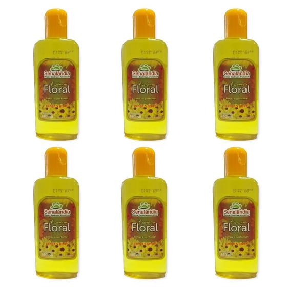 Imagem de Kit 6 Aromatizante Concentrado Desinfetante Perfumado Essência Ambiente 140ml Senalândia - Envio Já