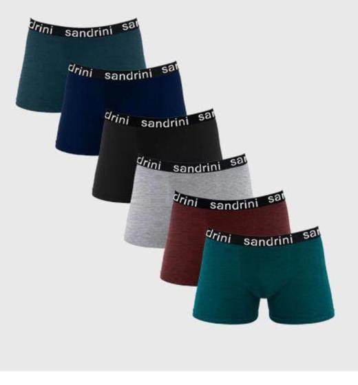 Imagem de Kit 6 Cueca Boxer Sandrini Algodão Box Masculina - Adulto