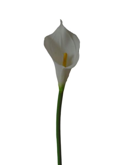 Imagem de Kit 6 flores artificiais copo de leite branco