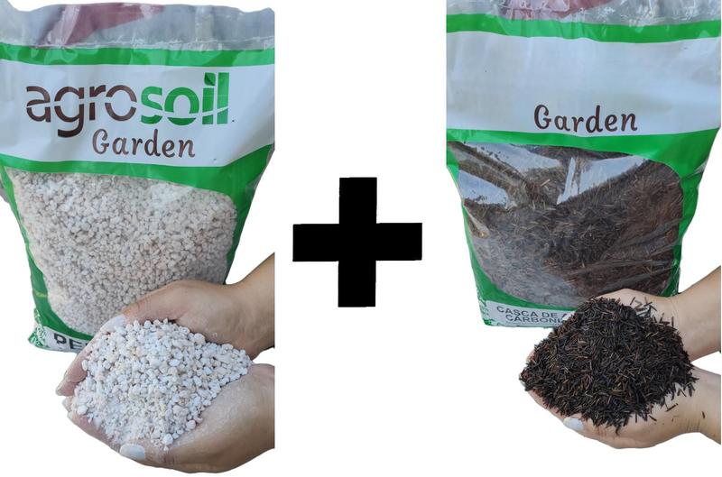 Imagem de Kit 6 Litros Perlita Expandida e Casca de Arroz Carbonizada