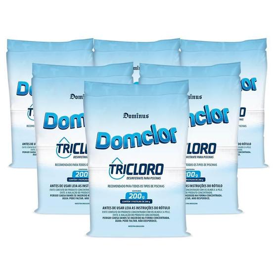 Imagem de Kit 6 Pastilhas Cloro Piscina 200g - Domclor