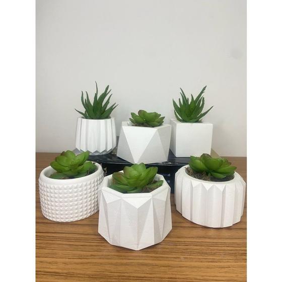 Kit 6 Unidades Vasos de Gesso Texturizado para Suculentas, Cactus e ...