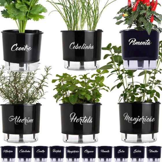 Imagem de Kit 6 Vaso Raiz Autoirrigável Temperos Gourmet Preto N3 16x14 Médio Auto Irrigável
